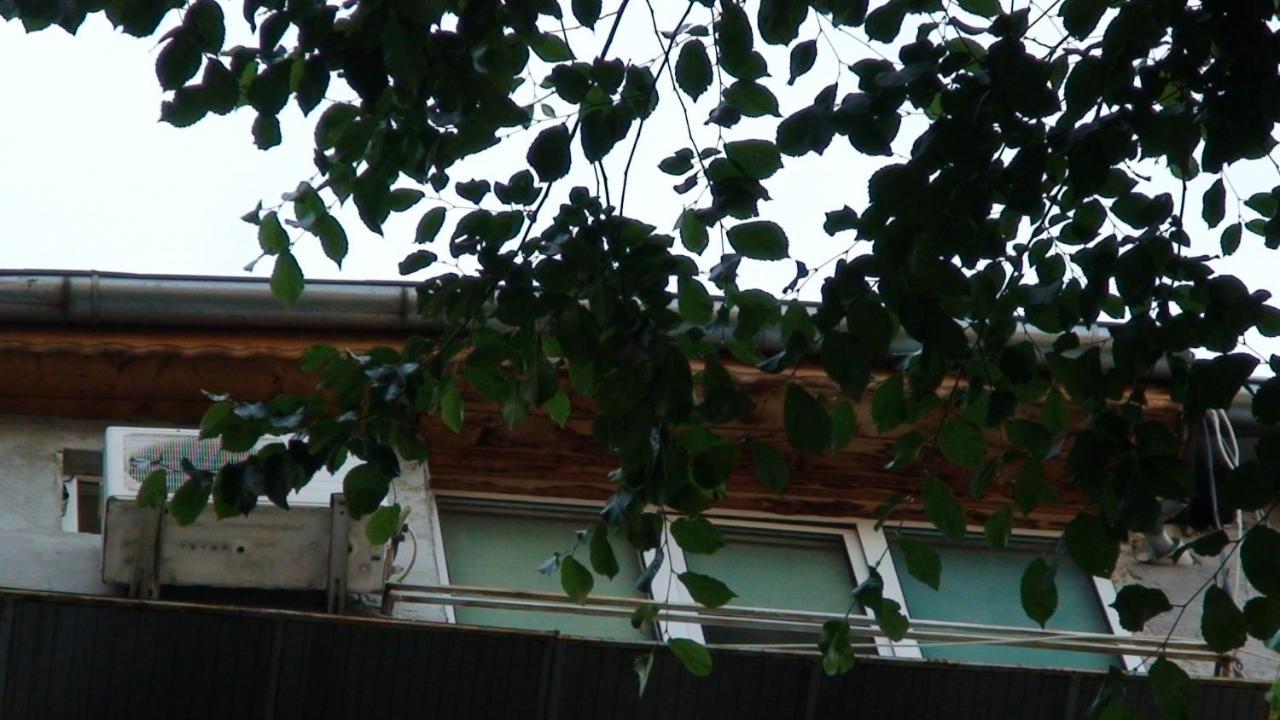 Studio French Embassy, Amzei Historic Center Bukarest Exteriör bild